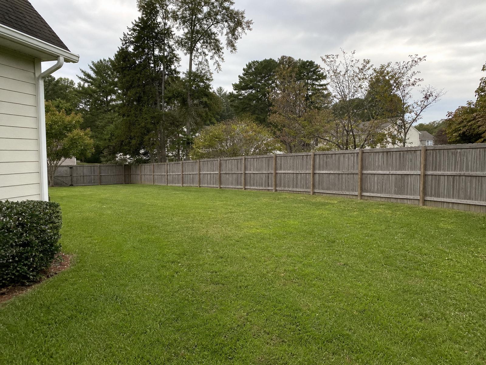 Storm-fallen tree removal & yard cleanup - after