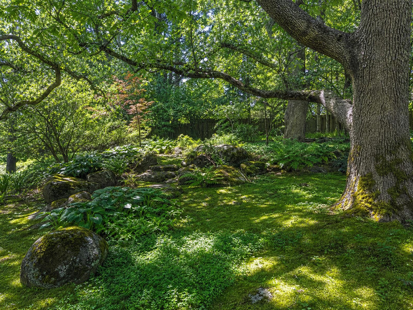 Yard restored to natural state
